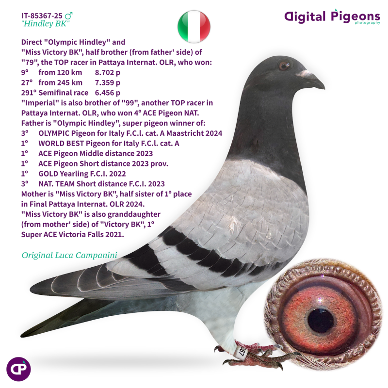 IT-85367-25