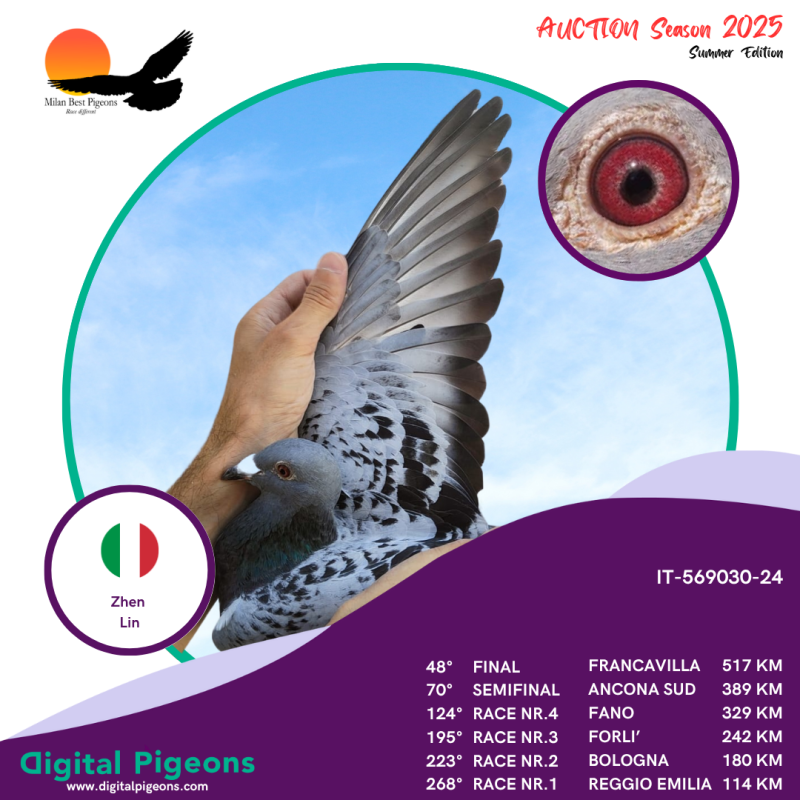 IT-569030-24